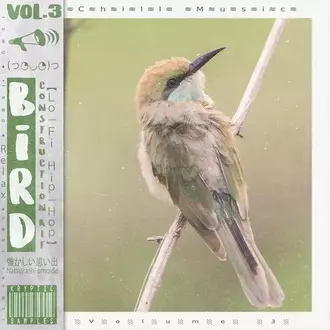KRYPTIC SAMPLES BIRD Vol.3