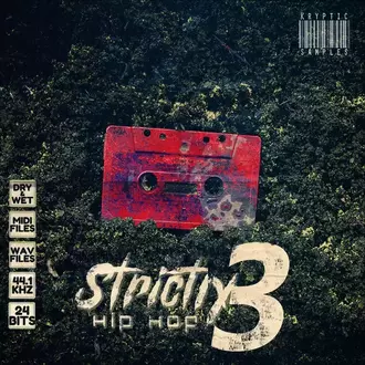 Strictly Hip Hop Vol 3