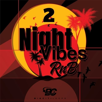 Night Vibes RnB 2